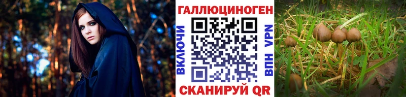 Псилоцибиновые грибы ЛСД Пенза